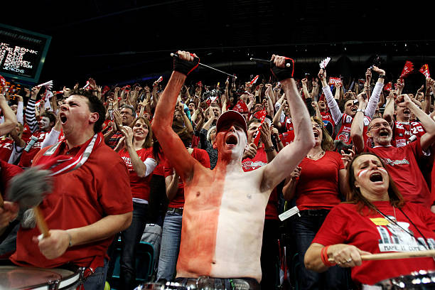 新鹏城提出 新鹏城提出