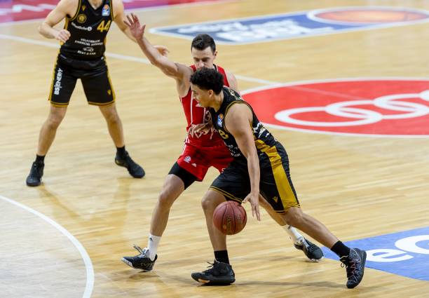 展现了稳定 展现了稳定